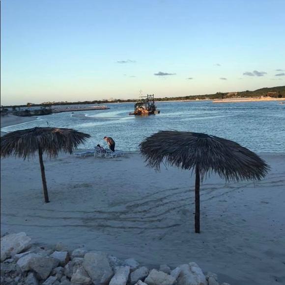 Meet your Posher, Dawn - Picture 1 of 1